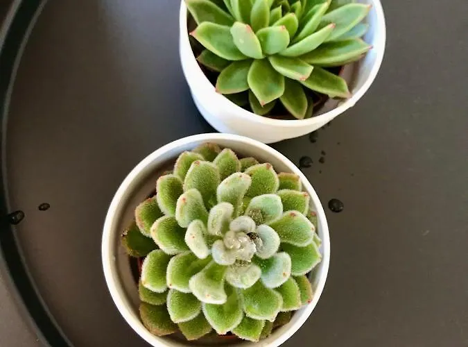 Вилла Vanilla Charming Family House Лахарес